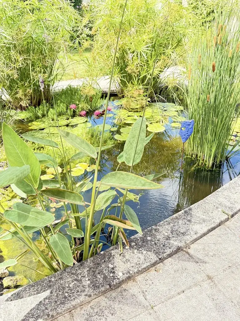 Valentina LEVITCHI_L'Escalle_Échillais_review