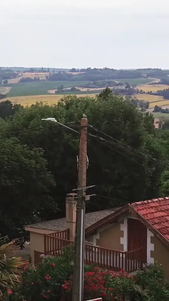 Logis Hôtel l'Hostellerie des Ducs restaurant in Duras