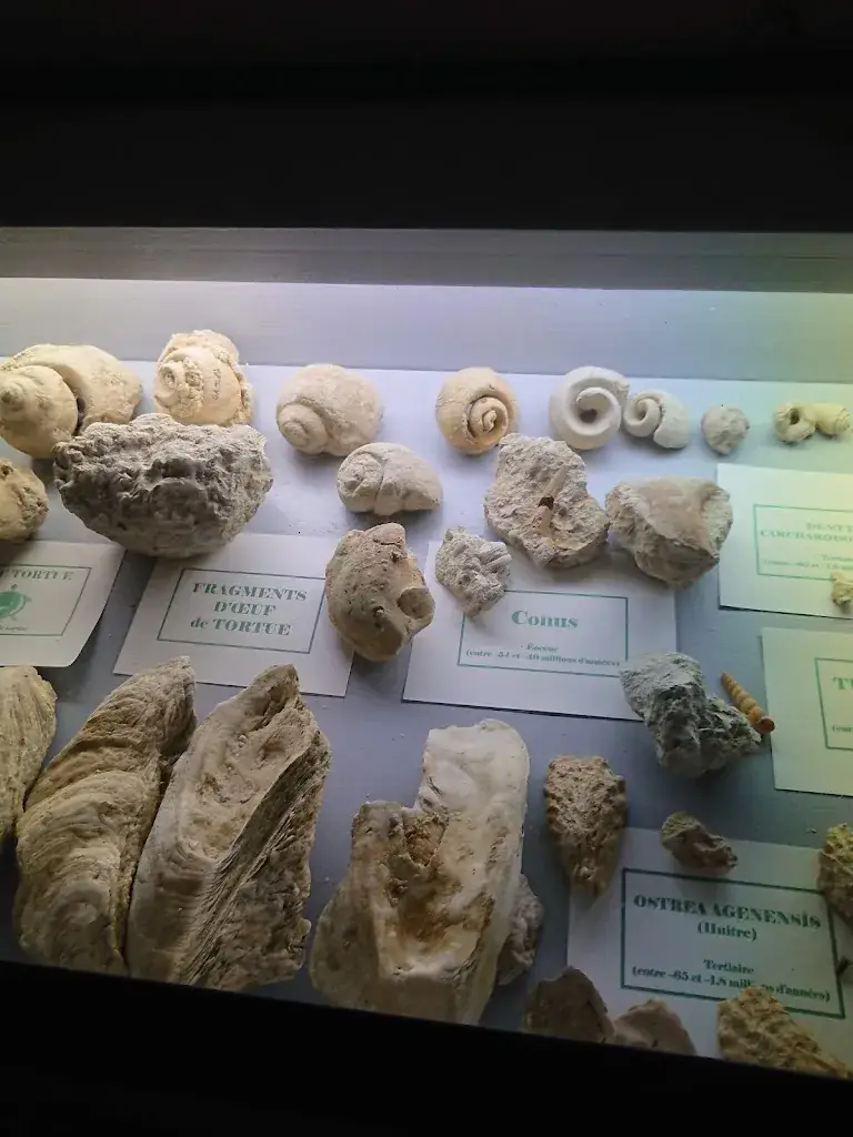 Menü_Café De La Paix_Duras_Bild_4