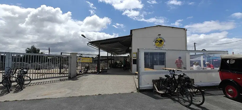 Moule Brothers_Marsilly_slider_image_3