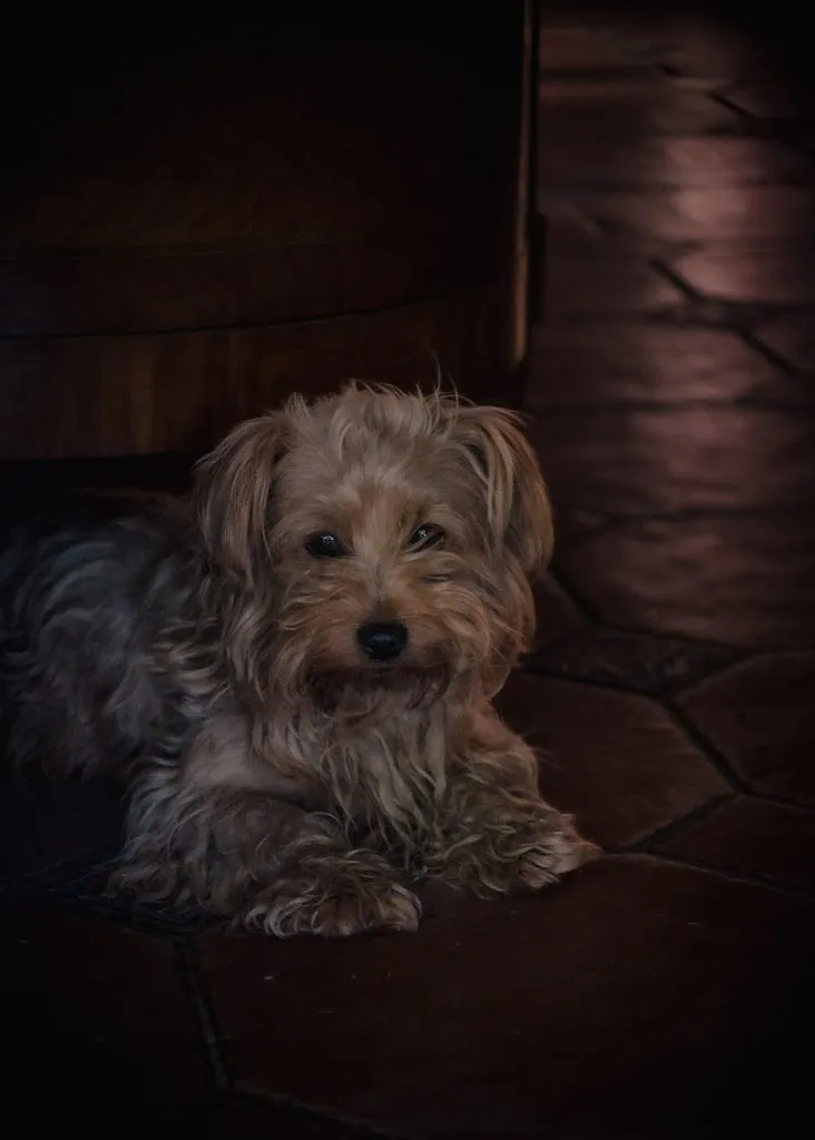 Martin Cropper_Domaine de la Couture_Évaux-les-Bains_review