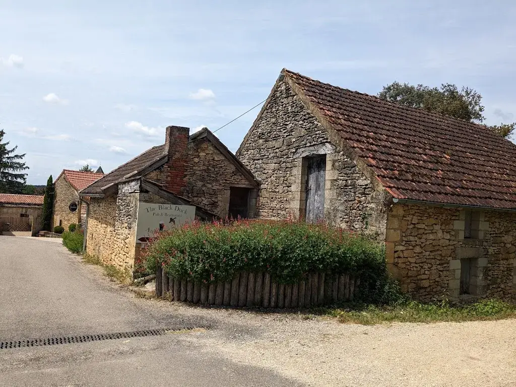 Purnima Ravi_The Black Duck_Saint-Crépin-et-Carlucet_review