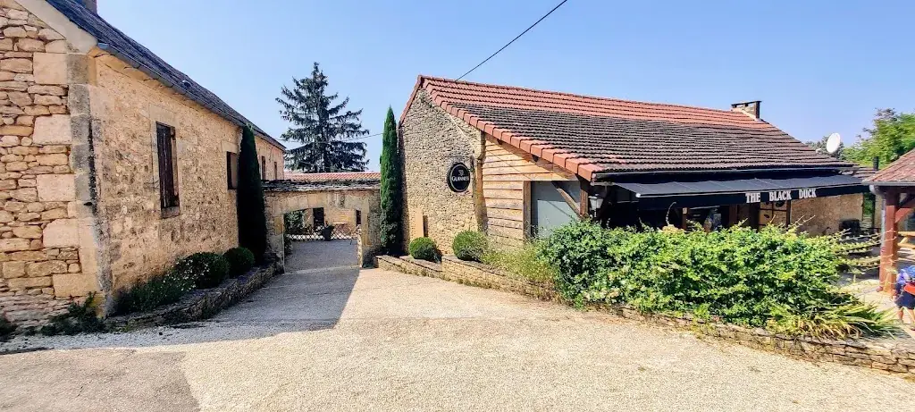 Ahmadou Diallo_The Black Duck_Saint-Crépin-et-Carlucet_review