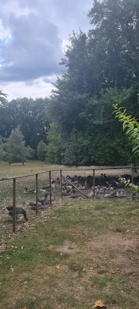 Charlene Elliott_Auberge la Ferme du Brusquand_Marquay_review