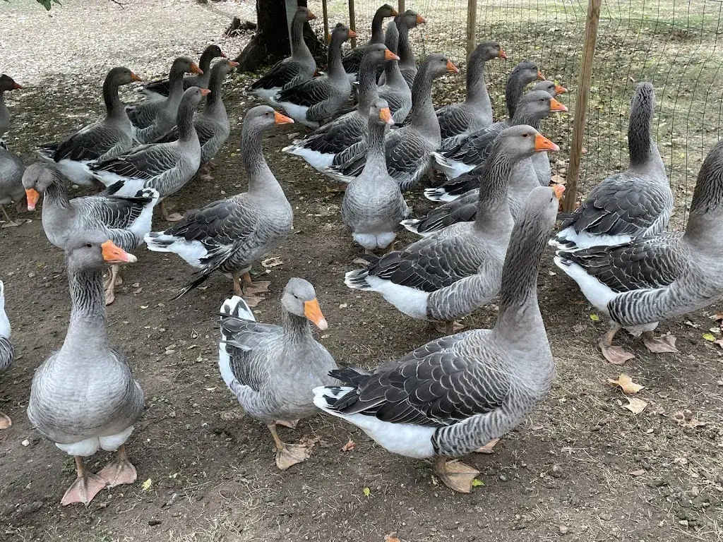 Auberge la Ferme du Brusquand_Marquay_slider_image_3