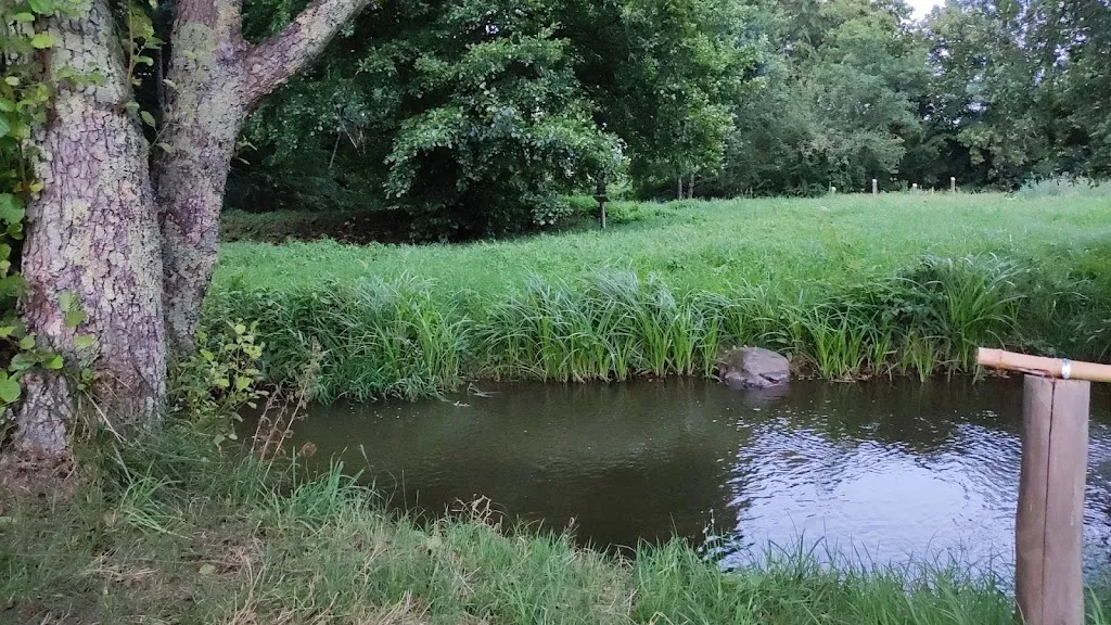 Milan Guedec_La Guinguette à Roulettes_Excideuil_Bewertung
