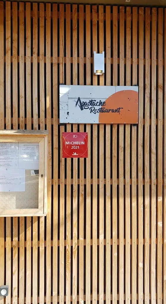 Raynaud jean regis_L'Agastache_Issoire_review