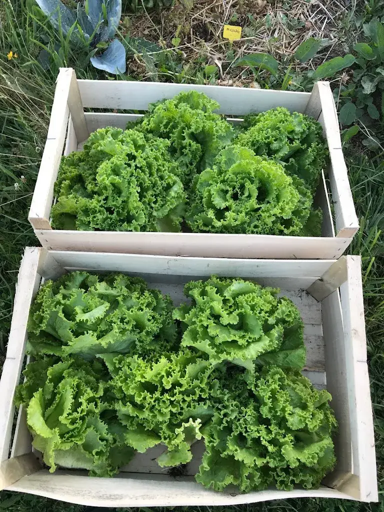 Menü_Ferme Sinsac_Nanthiat_Bild_2