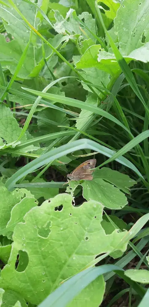 Menü_Ferme Sinsac_Nanthiat_Bild_5