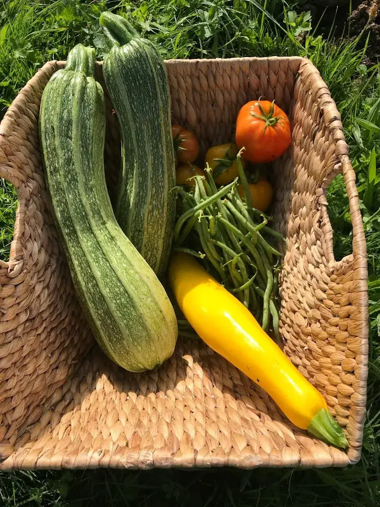 Ferme Sinsac_Nanthiat_slider_image_2