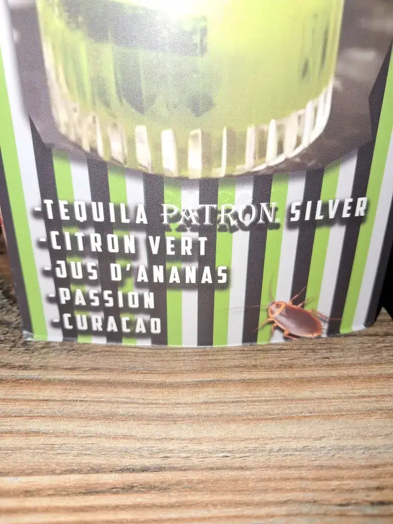 CHRISTELLE BONNEFOI_Mamacita_Issoire_recensione