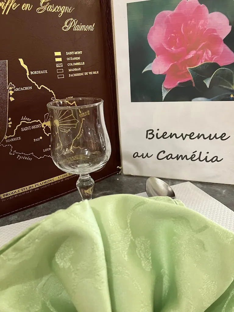 Usually Bubble_Guinguette Alma_Auriac-sur-Dropt_review