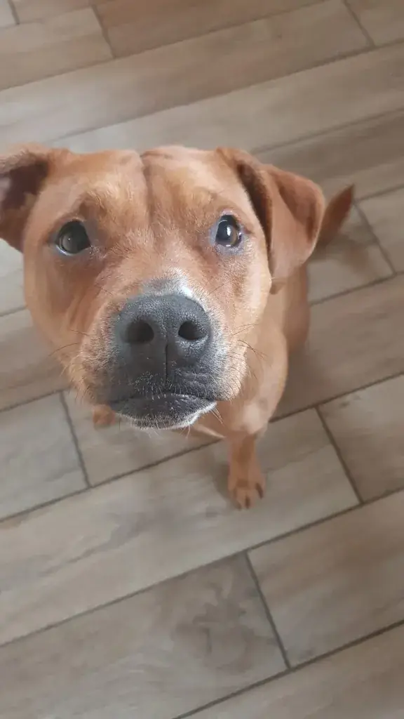 caroline osella_Brasserie 7/7 Tabac Le Jep's coffee beer tapas_Fargues-Saint-Hilaire_review