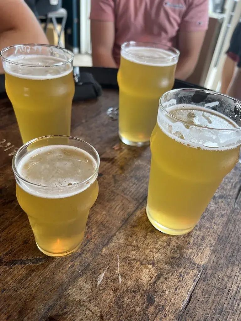 ARTHUR TOGNI_HOPALE Brasserie Artisanale_Fumel_review