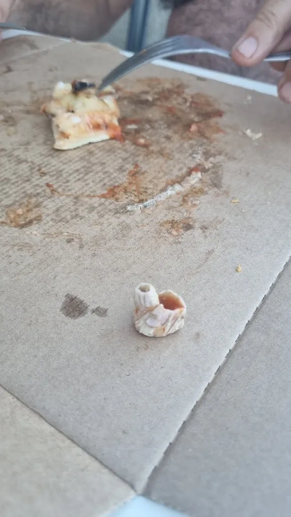 Menu_Pizza Bingo Galgon_Galgon_image_5