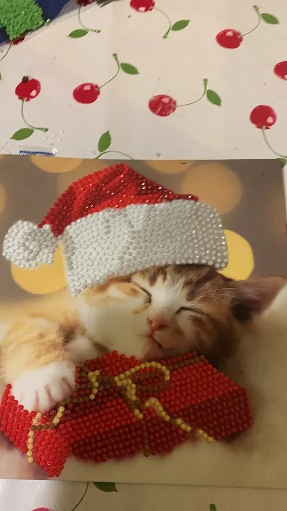 Éline Maingui_Restaurant Chez Carles_Saint-Germain-de-la-Rivière_recensione