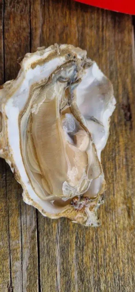 Menu_La Cabane à Jules_Fouras_immagine_7