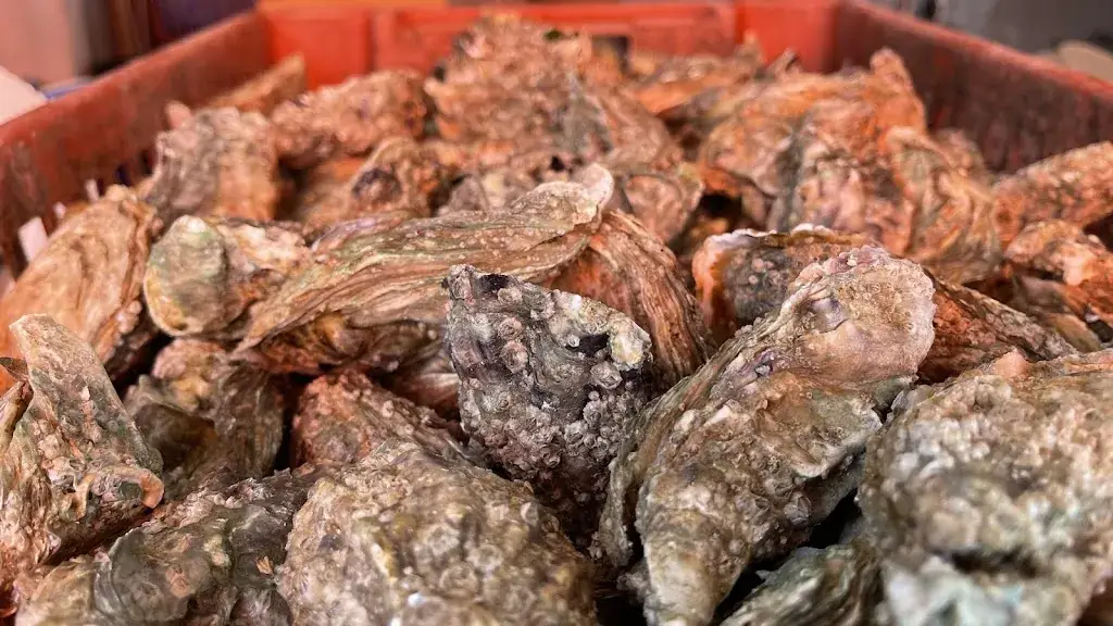 Menu_Bénard Et Fils dégustation huitres_Fouras_image_7