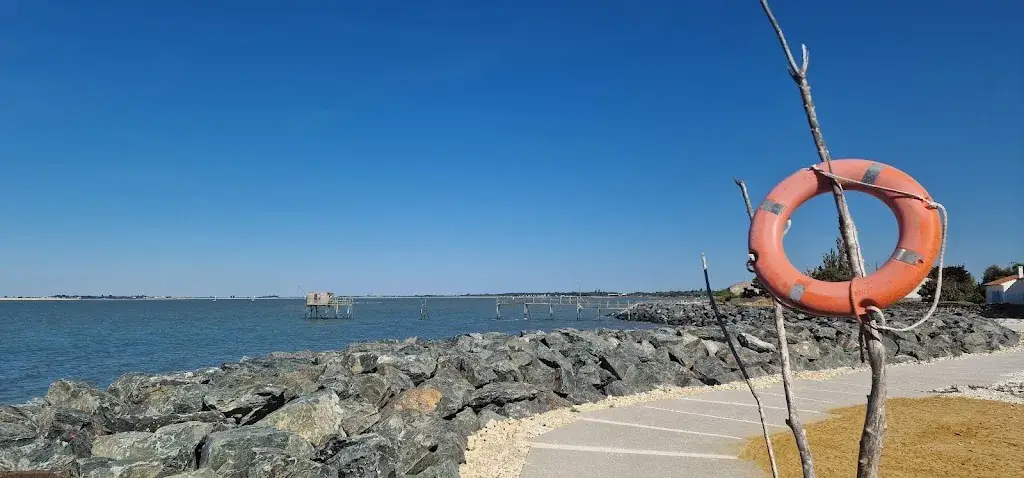 cé cédricd_Bénard Et Fils dégustation huitres_Fouras_review