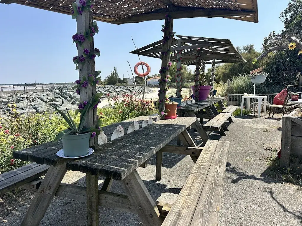 Bénard Et Fils dégustation huitres_Fouras_slider_image_3