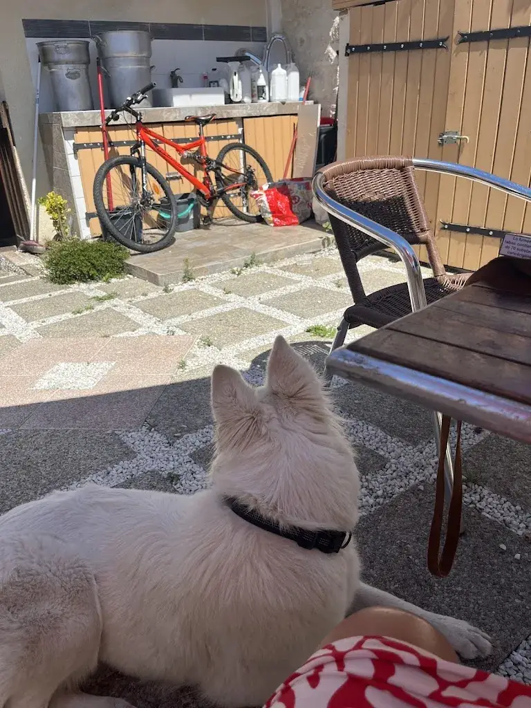 Eglantine Dupuy_Le Touareg_Lesparre-Médoc_review