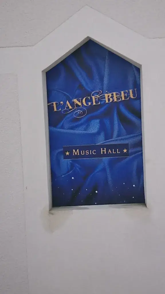 Frédéric Bozec_L'Ange Bleu_Gauriaguet_review