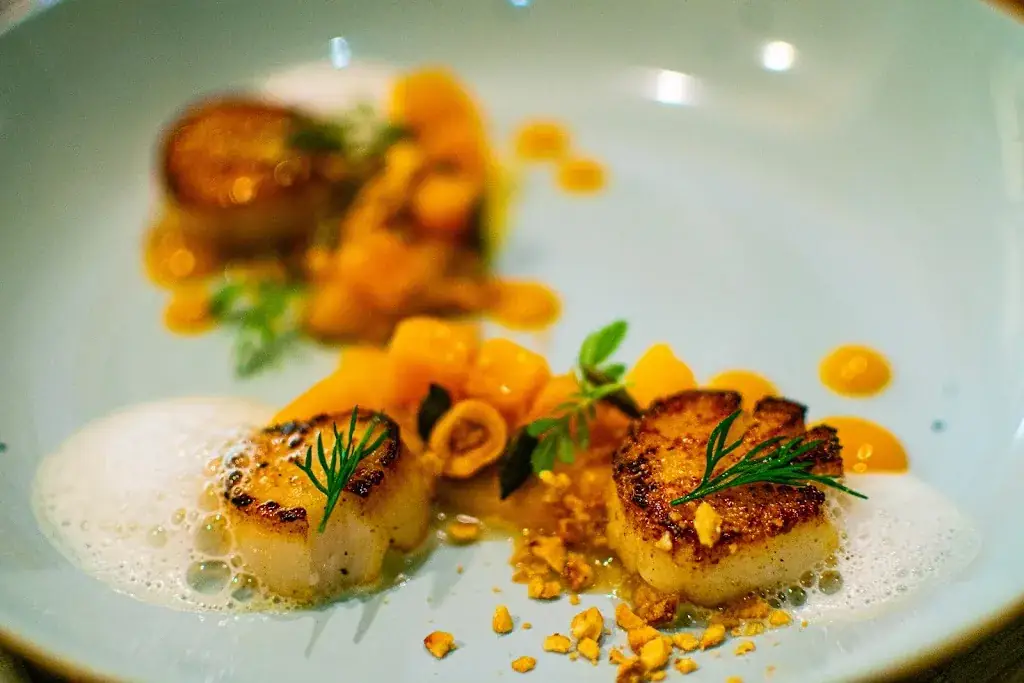 Arcada_Bordeaux_slider_image_3