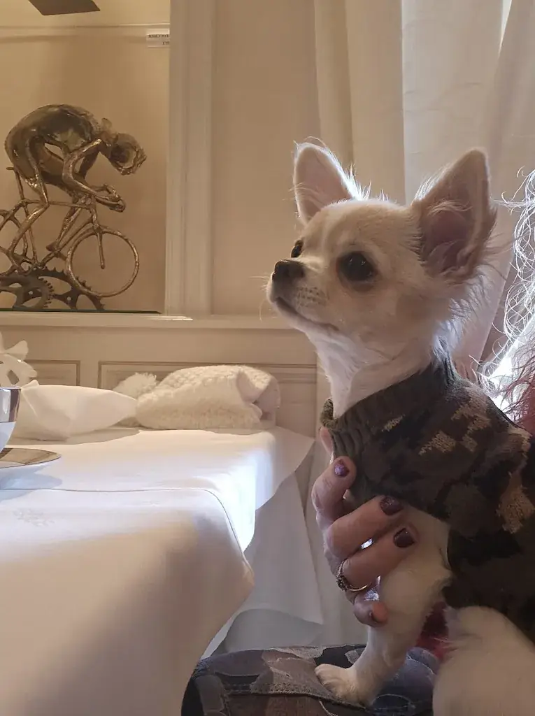 Tara Evans (Elevage Chez Wonderland)_Le Coq en Pâte_Guéret_review