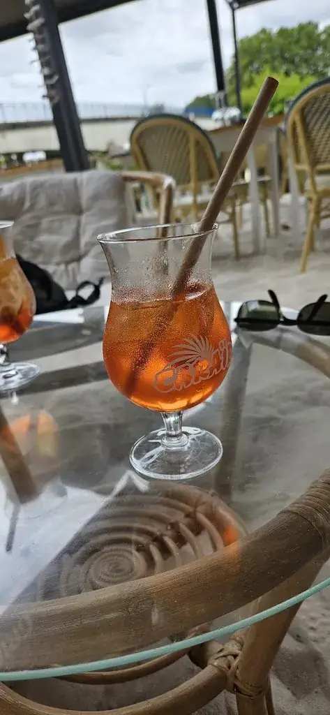 D LALANNE_Guitres plage_Guîtres_review