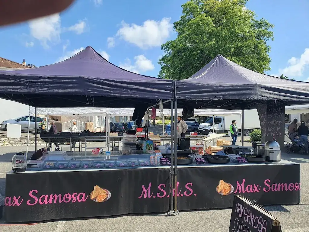 Max Samosa restaurant in Hagetmau