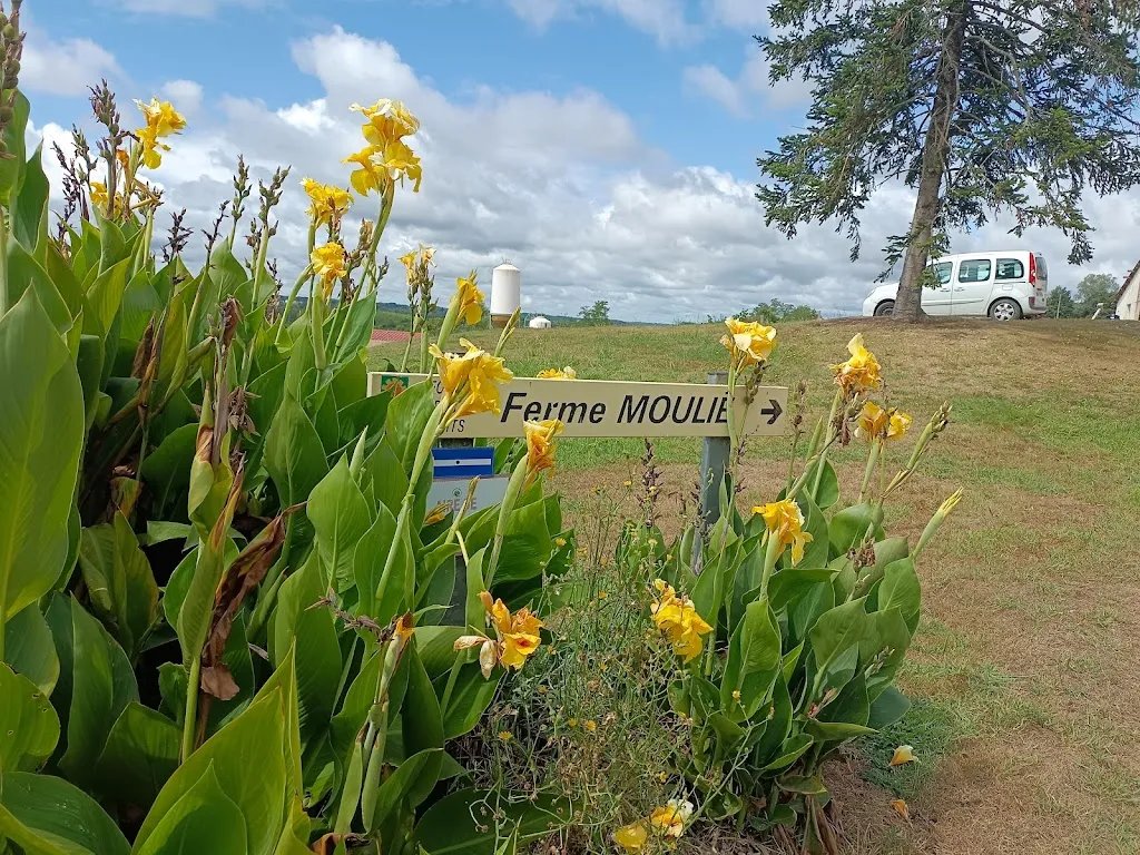 Aline Cordier_L'Estanquet deu guit (Ferme Moulié)_Brassempouy_avis