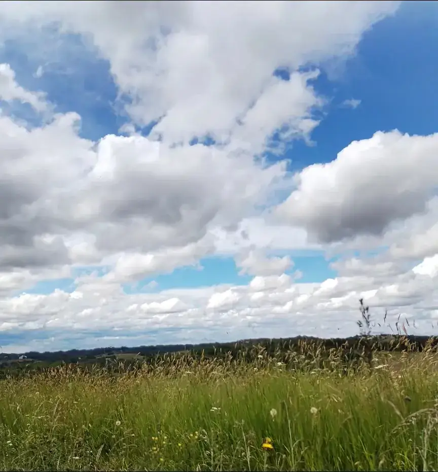 Christophe Baudouin_L'Auberge du laurier_Saint-Cricq-Chalosse_review