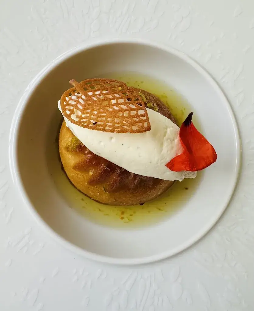 Paula Bezerra_Mesa_Croutelle_review