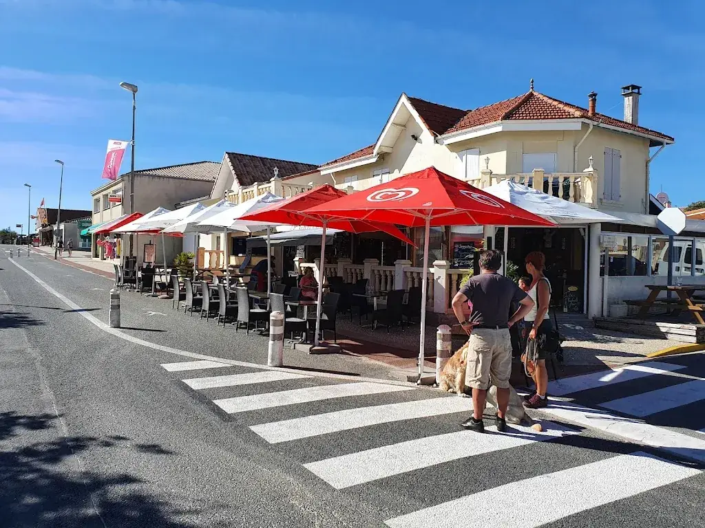 Al Stan_Le Grillon_Hourtin_review