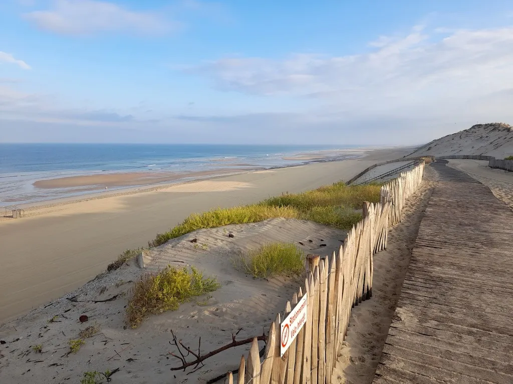 Stephen Gene Morris_Le Surf_Hourtin_review