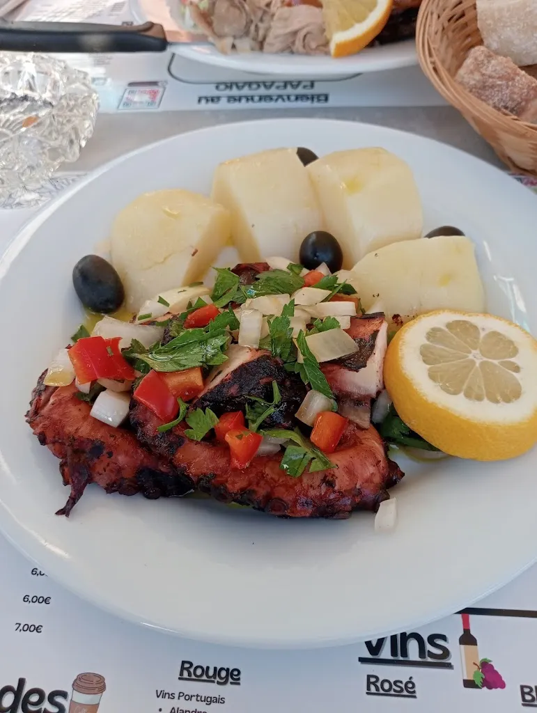 Papagaio_Hourtin_slider_image_3