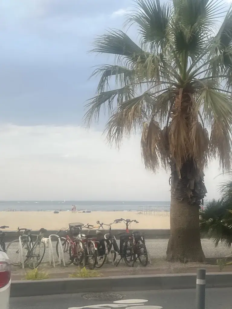 tanya orchard_JAIZKIBEL_Hendaye_review