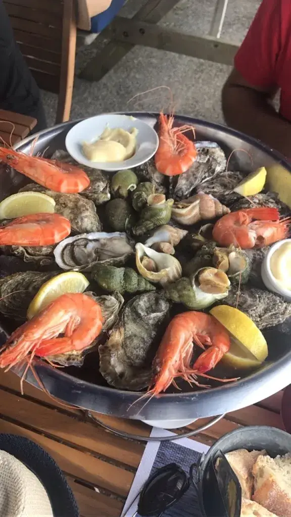 Rita Maria Salameh_Le Parc A Huitres_Hendaye_review