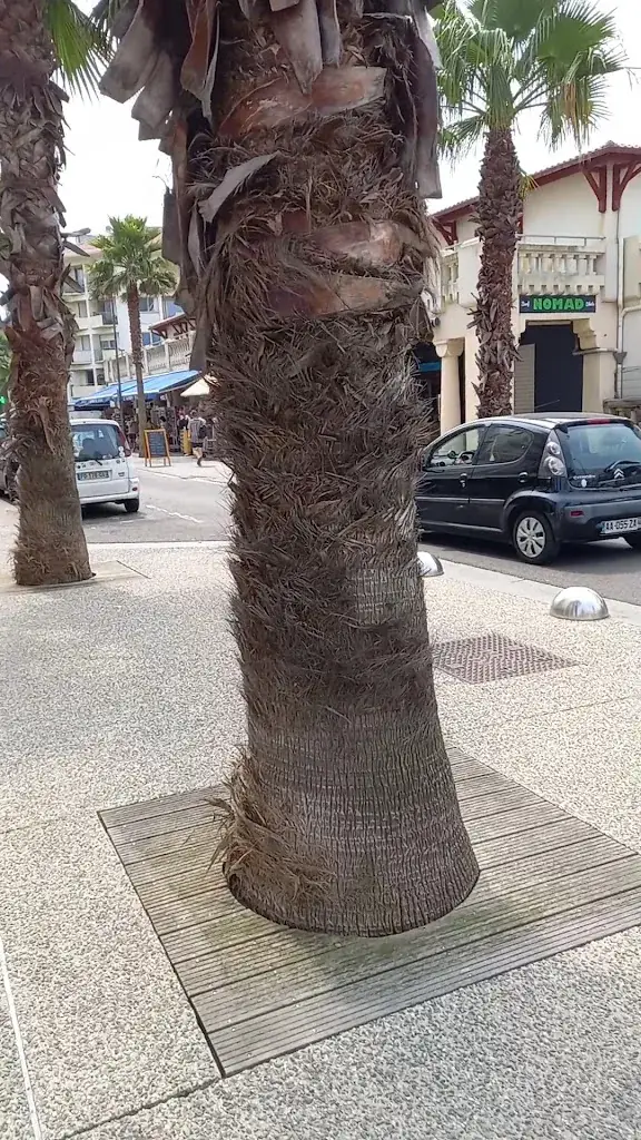 Luis Barros_Hemen Local Street Food_Hendaye_review