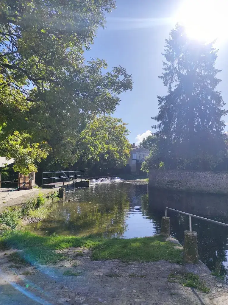 Tarti Feuille_Papilles nomades_Jonzac_review