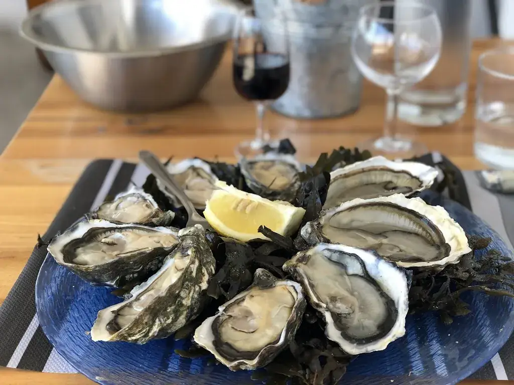 Manuel Kissoczy_La Courtine_Château-d'Oléron_review