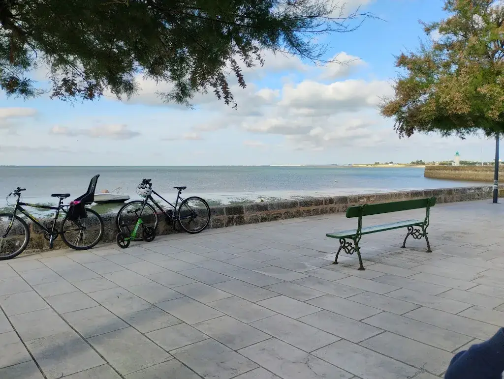 Edward Johnson_A La Plancha_Flotte_recensione