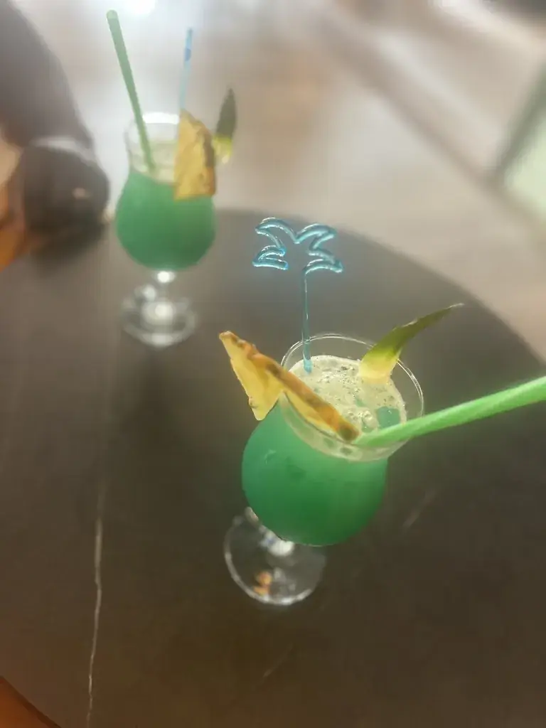 Camille Dasylva_Le Temps d'une Escale_Roche-Chalais_review