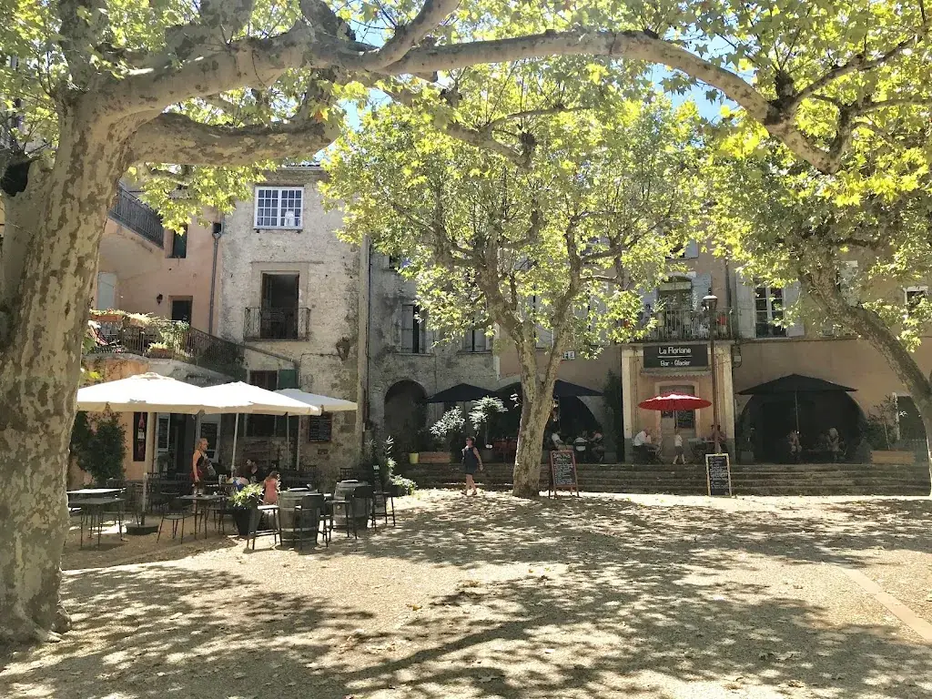 Edward_La Floriane Restaurant & Bar Pub Glacier_Sauve_review