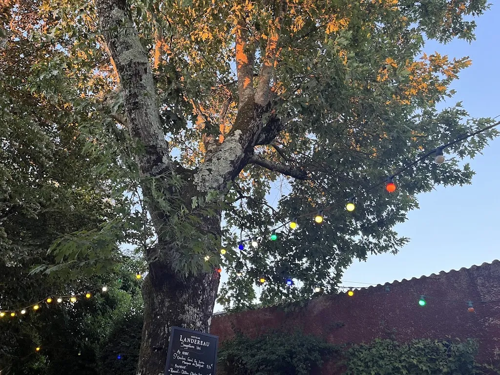 ALAN CROWDY_Chez Titut_Créon_review