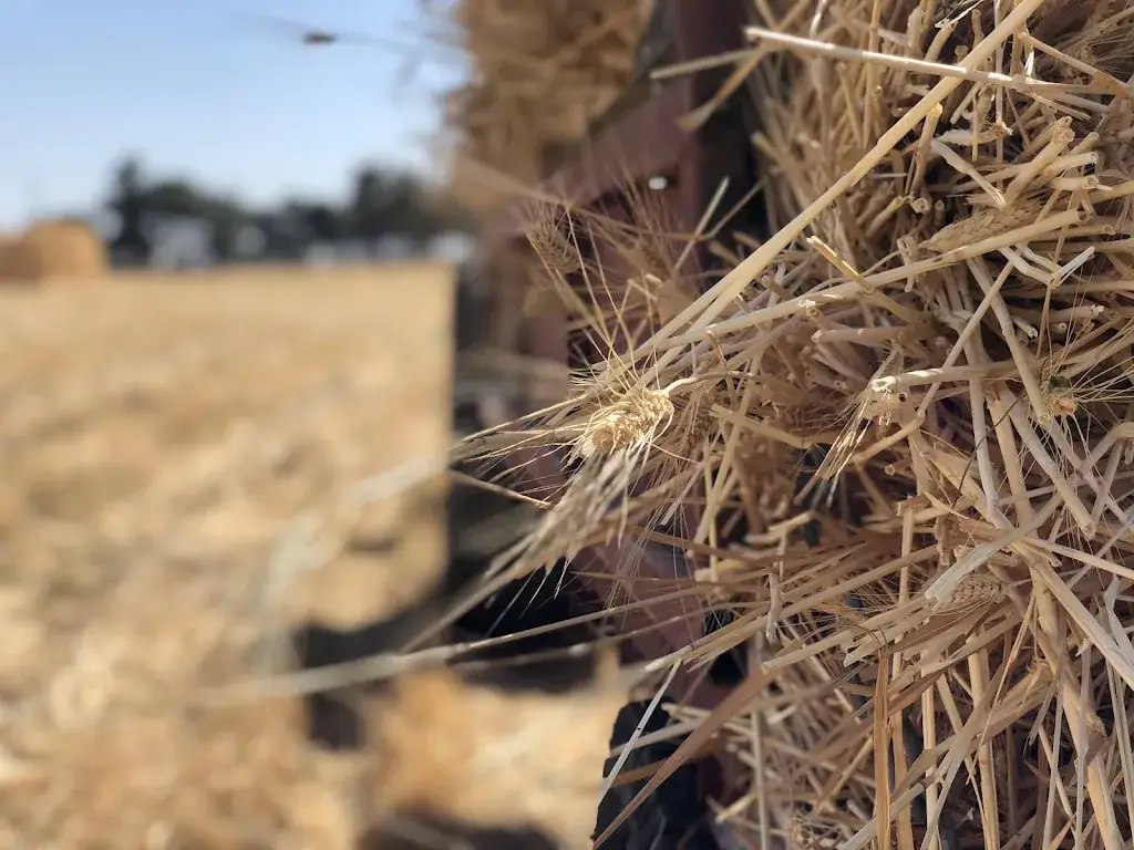 Salerno restaurante en Souterraine