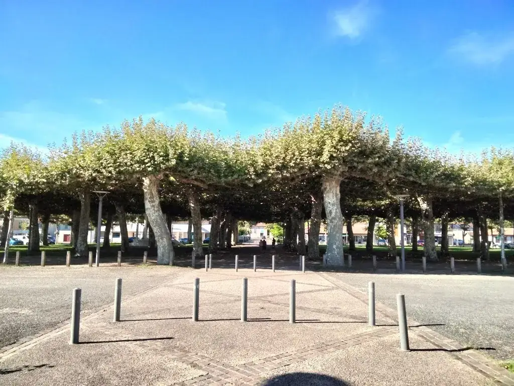 Libournet Marie_Café des sports - Chez Maritchu_Labouheyre_review