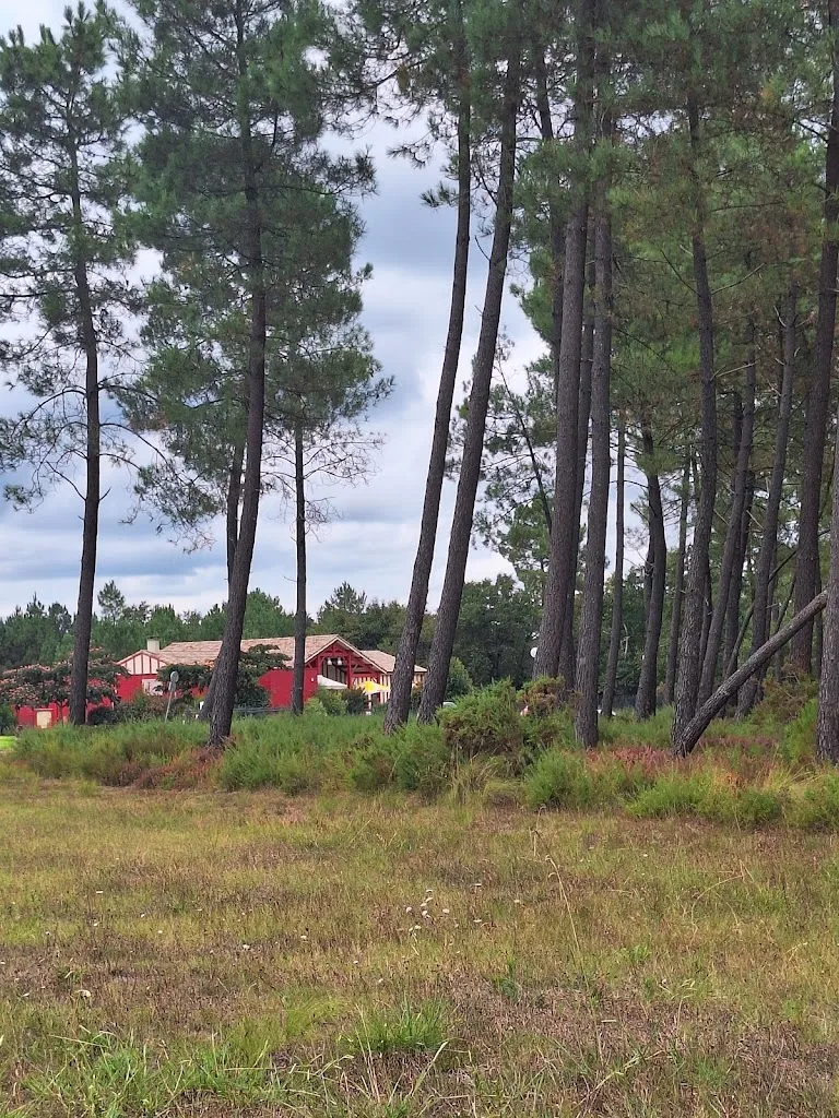 natercia rodrigues_La Table d'Escource_Escource_review