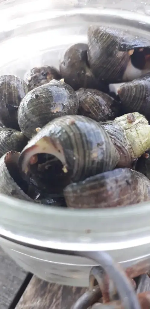 Menu_La 12Zen_Teste-de-Buch_image_6