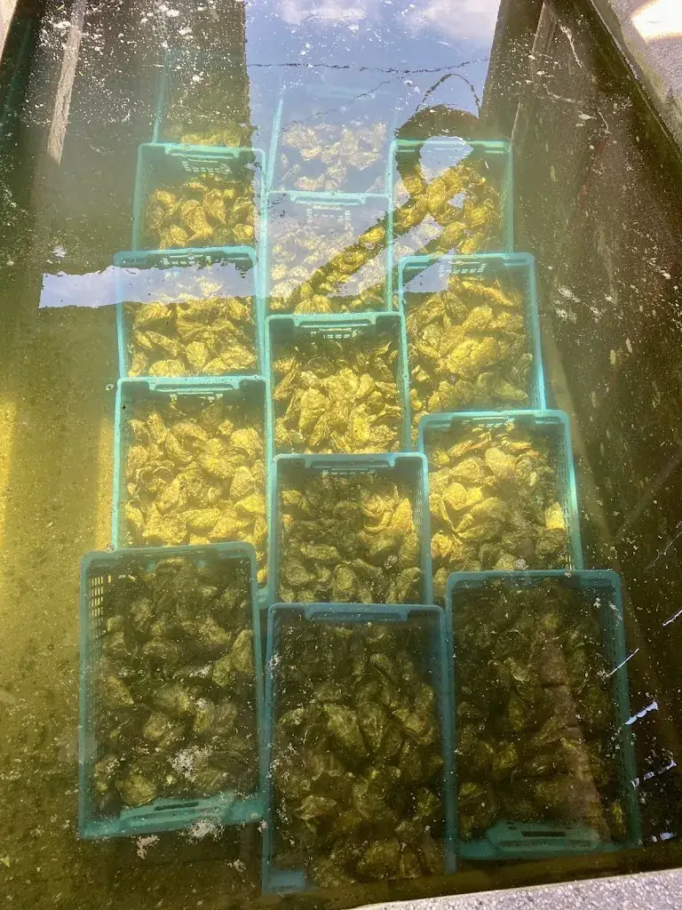 Menu_La 12Zen_Teste-de-Buch_image_7